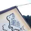 가온목장 | 24개월 설이랑 다녀온 하양목장 후기 — 양들이 순하고 깨끗해서 안심했어요 (먹이체험 포함)