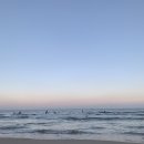 이가네축산 이미지