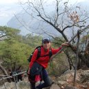 성송초등학교 이미지