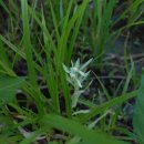 서곡초등학교 이미지