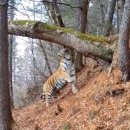 화유한의원 이미지