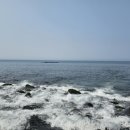 영락리 | 제주 돌고래 영락리 방파제 스팟 시간 성공 후기