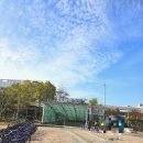 영종대로162번길 | 인천 영종도 운서동 마사지 추천 개운한 전신관리 허브마사지