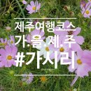가시리마을 | [제주여행]가을 제주 추천여행지_'가시리'로 가시리요‼️(가시리국산화풍력발전단지/유채꽃프라자/가시식당)