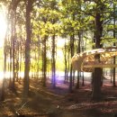 에코리조트 이미지