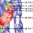 마블핏퍼스널트레이닝스튜디오
