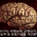 엠원코리아 네이버블로그