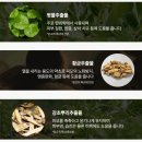 와이에스아이 | 닥터블랭크 저자극 올인원 강아지 샴푸