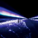 아르떼뮤지엄 이미지