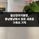 몽냥몽냥 강아지분양 일산점 | 일산강아지분양, 몽냥몽냥에서 찾은 새로운 가족의 기적