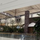 현대 | 더현대 주토피아 팝업 후기, 굿즈 정보