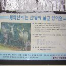 수산리-12 Daum카페