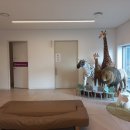 미즈소아청소년과의원 | 삼성미즈 소아청소년과 진료 일정 및 예방접종 후기