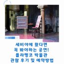 공연예술박물관 | 세비야에 왔다면 꼭 봐야하는 공연! 플라멩코 박물관 관람 후기 및 예약방법