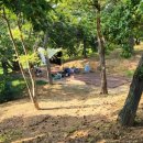 갯골캠핑장 이미지