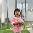 자매농장 | 논산 딸기농장체험_놀이시간 무제한_베리톡