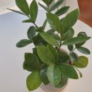 가든한 베이커리 이미지