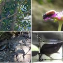 제주 물장오리오름 이미지