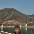 단양마늘빵 | 단양 구경시장 맛집, 단빵제빵소 마늘빵 겉바속촉 후기