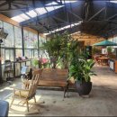 토브하르 이미지