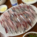 서호동-44 | 서귀포 고등어회 자연수산 서호동 맛집 제주 필수 코스