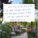 상계문화정보도서관 | 고령층 대상 필사 강의 후기_도봉문화정보도서관