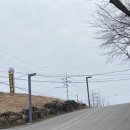 동읍1177 이미지