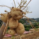 원길농장 이미지