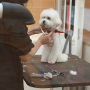 거제유치원 이미지