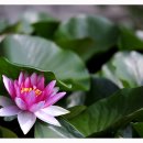 괘릉초등학교 이미지