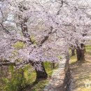 금곡리(정자옆)야외운동기구 | [경상남도 사천시] 사천선진리성