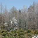 시크릿강릉 이미지