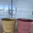 세종전의묘목협동조합 | [서포터즈] 전의 세종묘목플랫폼 홍보물품 전달식