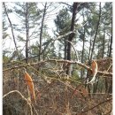 서해안 농장 이미지