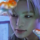 더블유엠씨