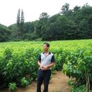 김영칠농장 이미지