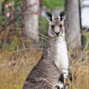 바른메디컬(주) 이미지