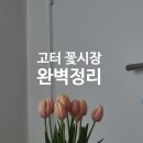 대한꽃시장