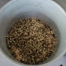 청풍명월 이미지