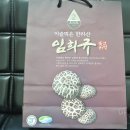 제주영실 표고버섯 이미지