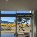 통일전 | 경주 통일전 카페 포워드 후기｜은행뷰 카페 추천 (내돈내산)