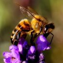 경희동인한의원 이미지