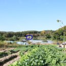 곤지암 한솔유치원 이미지