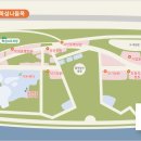 서울신양초등학교 이미지