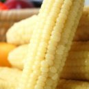 이삭피부나라 이미지