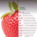 킹스베리 이미지