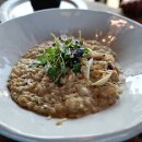 올리바로쏘 이미지