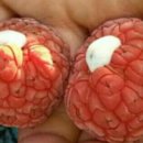 함라농장 이미지