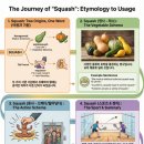 영어 단어 스쿼시 squash 설명