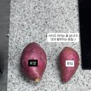 호박사우나 이미지